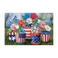 thumbnail image 1 of fsxdhpcsgfc Flag Doormat 4th Of July Independence Day Non Bath Rugs US Flag Floor Mat Entrance Front Door Rug For Home Living Room Bathroom Heat Holder Blanket Extremely Soft Blanket Wrestling, 1 of 5
