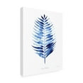thumbnail image 4 of Canvas Wall Art - Jean Plout 'Indigo Botanical 6' Wall Art for Living Room, Bedroom, or Office Décor by Trademark Fine Art - 14 x 19 Inches, 4 of 4