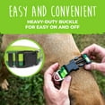 thumbnail image 3 of Mighty Paw Reflective Dog Collar | Premium High Visibility Collar with Reflective Stitching. Weatherproof, Heavy Duty Hardware, Stylish Colors and Design. Perfect for Small and Large Pets, 3 of 9