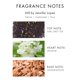 thumbnail image 4 of Perfume Jennifer Lopez STILL Eau De Parfum para mujer, 50 ml, 4 of 5