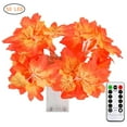 thumbnail image 1 of Maoww Waterproof LED Maple Leaf for Party Wedding Decor, 1 of 6