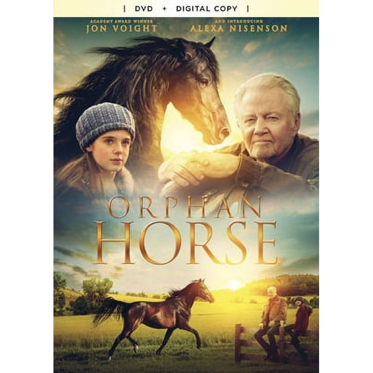 Orphan Horse DVD SP Releasing LLC Drama Walmart