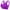 bras for women-Purple, variant on Brilliant Sports Bras for Women Padded Women Seamless Sports Bra Wirefree Yoga Bra with Removable Pads Wireless Blue XXXXXL
