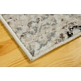 thumbnail image 4 of L Baiet RS222E46 Meghan Transitional Rug, Beige - 4 x 6 ft., 4 of 5