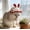 Watermelon Red, variant on NIUBWJL Cute Knitted Hat for Cat, Funny Bunny Crochet Hats for Cats Guinea Pig Small Dog Rabbit, Pet Cat Costume for Birthday Party Christmas Halloween, Bunny Costume Accessories