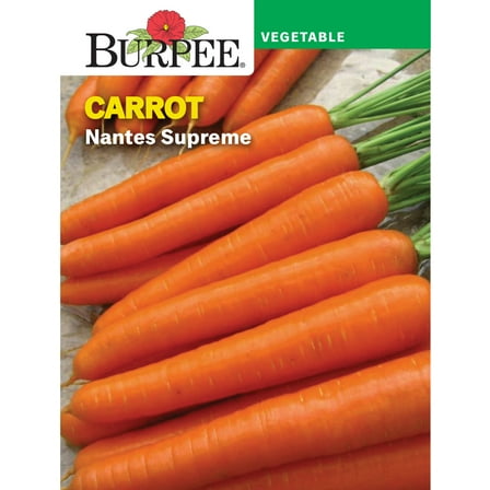 Burpee Nantes Supreme Carrot Annual Vegetable Seed, 1-Pack, Full Sun