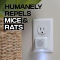 PestChaser Rodent Repellent with Nightlight - Indoor Ultrasonic ...