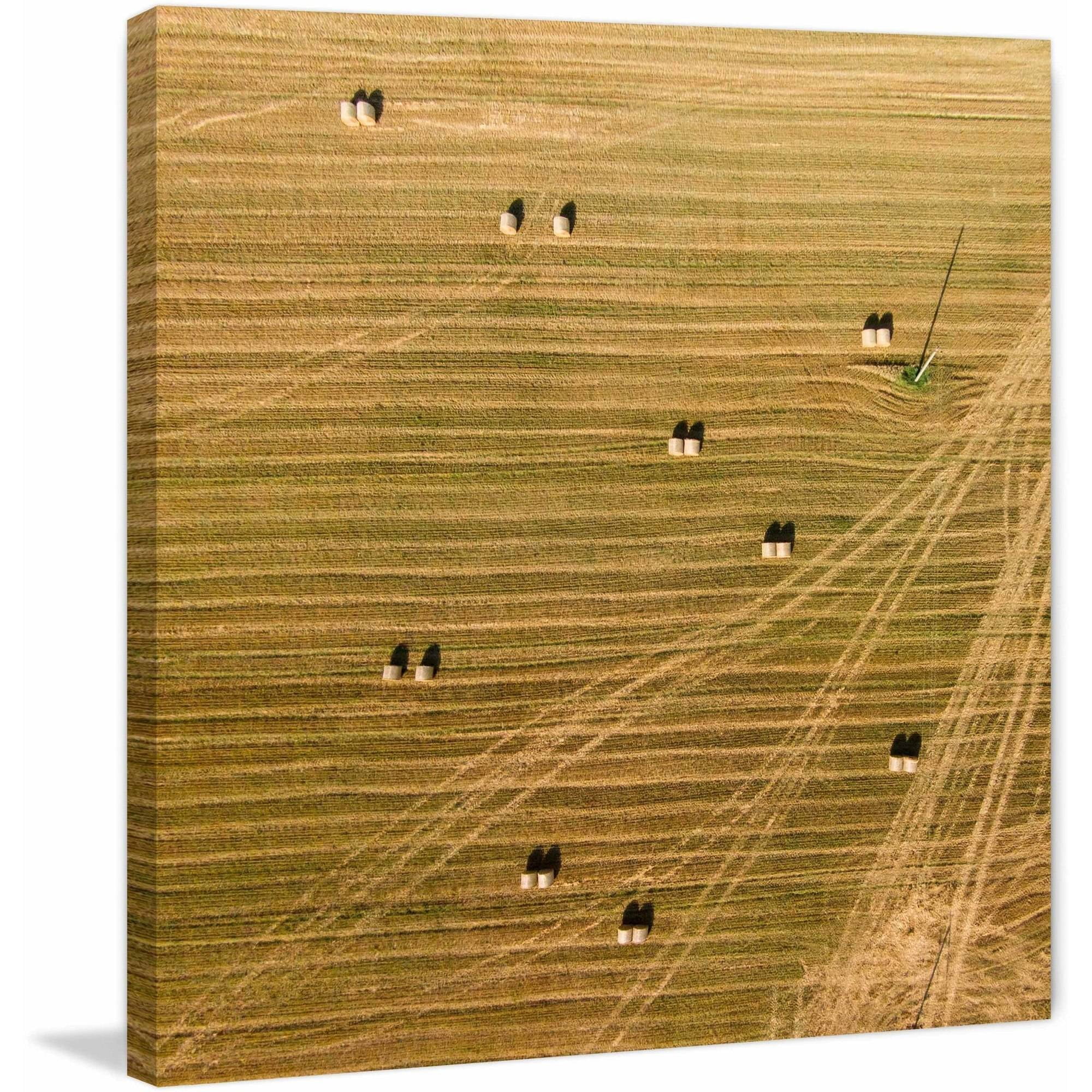 Marmont Hill "Tractor Trails" by Karolis Janulis Painting Print on Wrapped Canvas