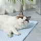 thumbnail image 5 of Tapete refrescante de hielo para perros y gatos | Almohadilla transpirable de seda fría para disipar el calor en verano | Cojín refrescante ligero de 76 x 53 cm | Tapete para perrera para mascotas,, 5 of 5