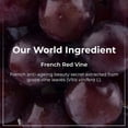 thumbnail image 4 of Pilgrim Gommage Visage à la Vigne Rouge avec Mûre et Aloe, 50g, 4 of 5