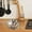 WH, variant on SuoKom 4 Compartment Seasoning Box with Separate Spoons, Ingredients, 4 Enclosed Storage Compartments, Seasoning Box with Lid Condiment Box, 4 Compartment