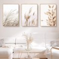 thumbnail image 2 of Beige Reed Weeds Pampas Reed Plants Decorative Wall Mural (set Of 3), 2 of 5