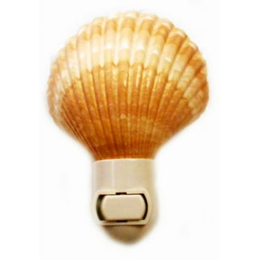 Real Seashell Night Light Mexican Deep Scallop  Shell Nautical Beach Decor Gift