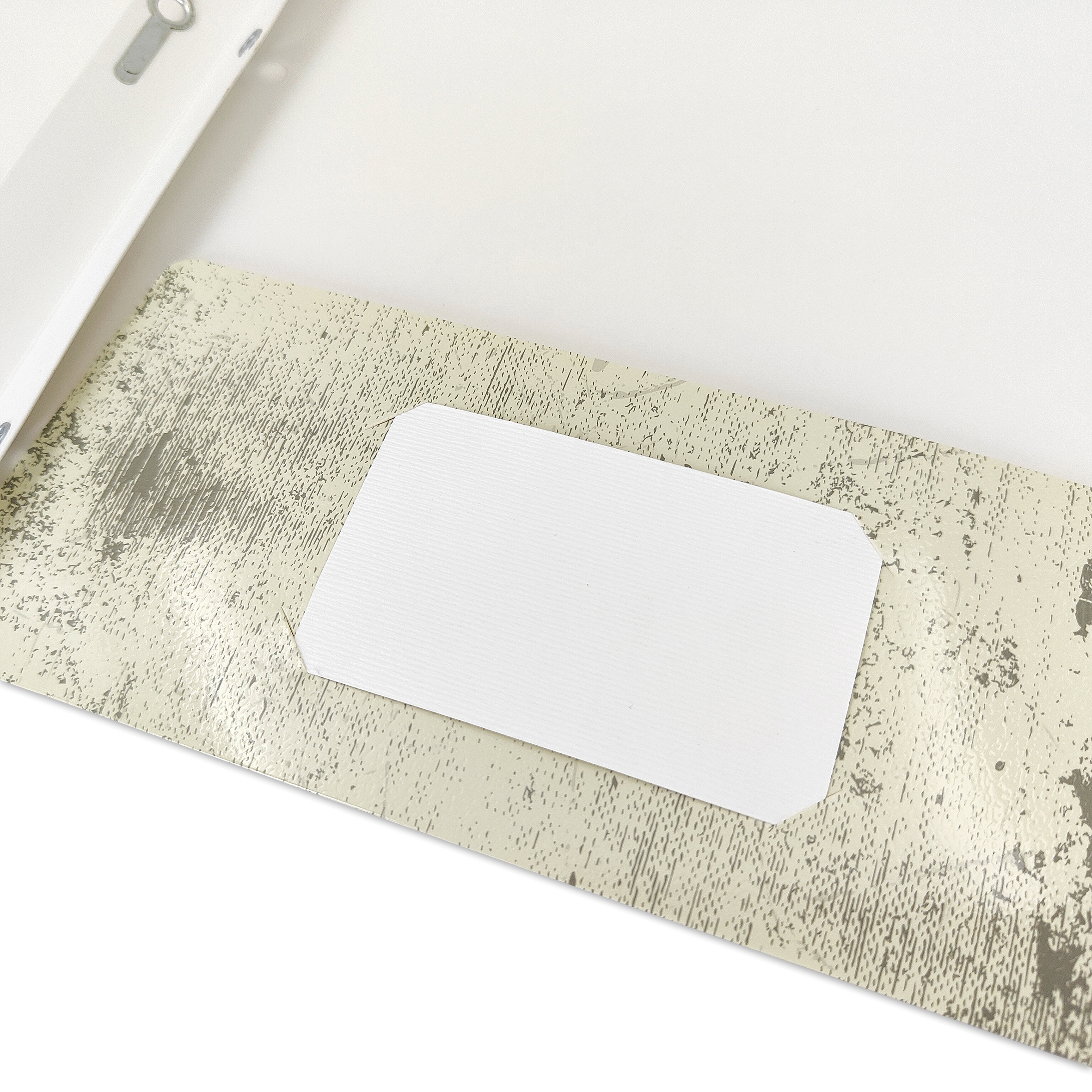 Carpeta de papel con 2 bolsillos y 3 pestañas Pen+Gear, lagartijas beige y negras 4