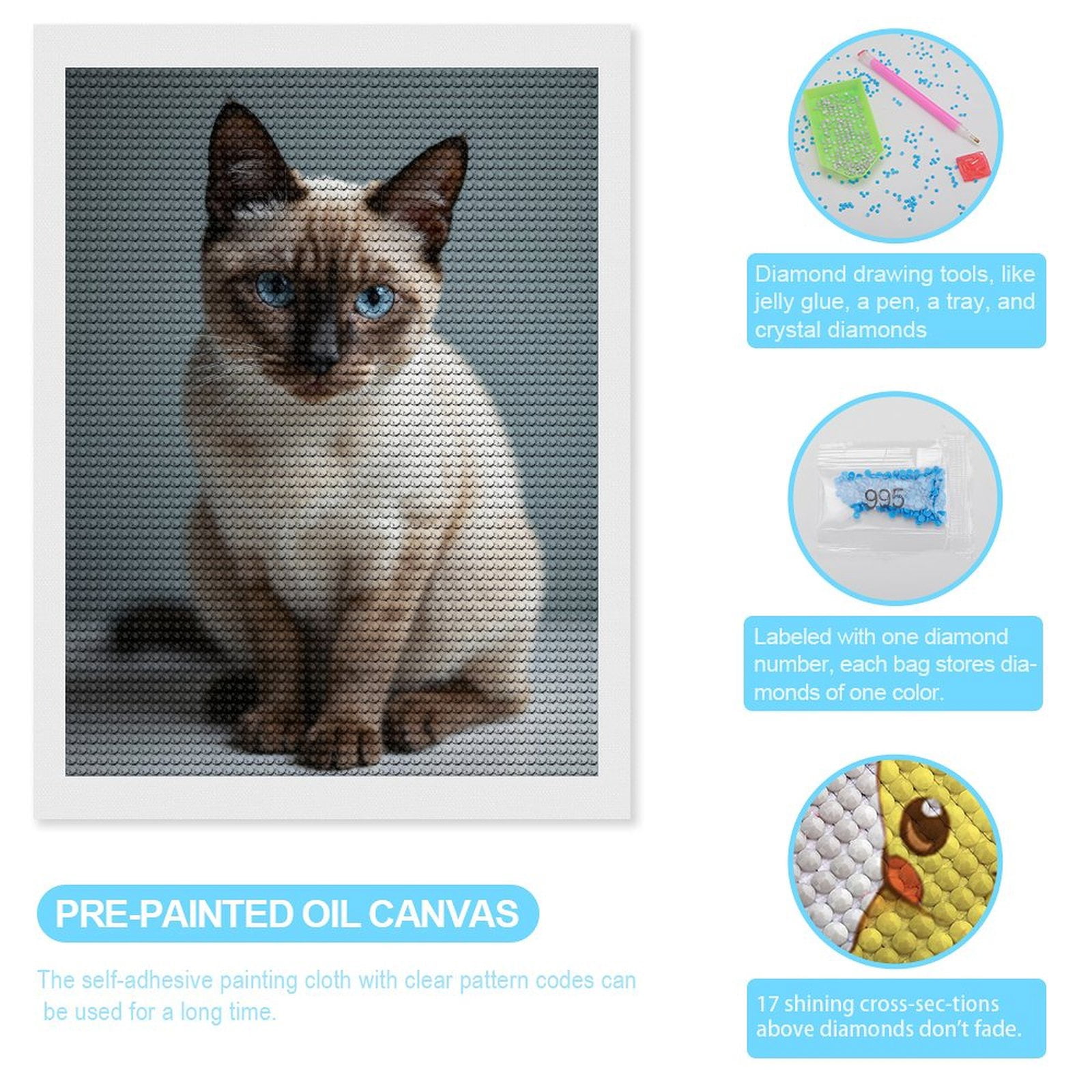 Diamond Art Kits for Adults, Blue Eyed Siamese Cat Sitting 5D Diamond Painting Kits for Adults Beginners, DIY Full Drill Diamond Painting, Gem Art and Crafts 12x16