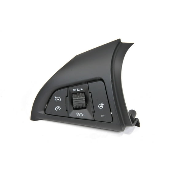 Cruise Control Switch