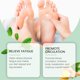 thumbnail image 4 of Paquete de Baño de Pies con Extracto de Artemisia Absinthium para Aliviar La Fatiga Articular y La Salud Venosa | Paquete de 30 Unidades, 4 of 7