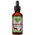 thumbnail image 1 of Extracto de hierbas Animal Essentials Slippery Elm, 30 ml, para perros y gatos, 1 of 8