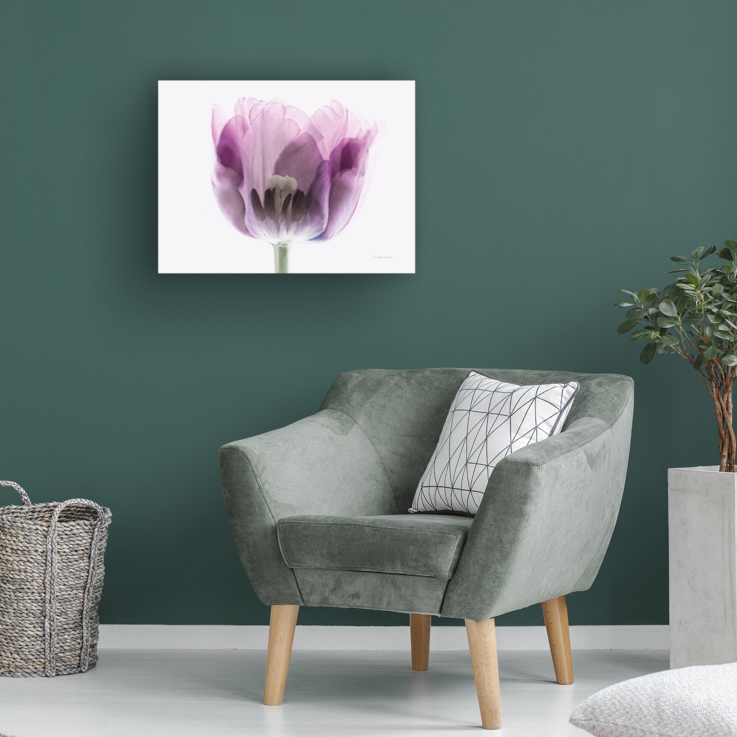 Elizabeth Urquhart 'Inside Out II' Canvas Art
