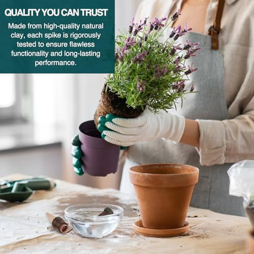 Blumat Classic Plant Watering Stakes - Self-Watering Insert for Indoor and Outdoor Plants - Automatic Slow Release Irrigation System for Potted Plants - Houseplant Care Device (5 Pack)