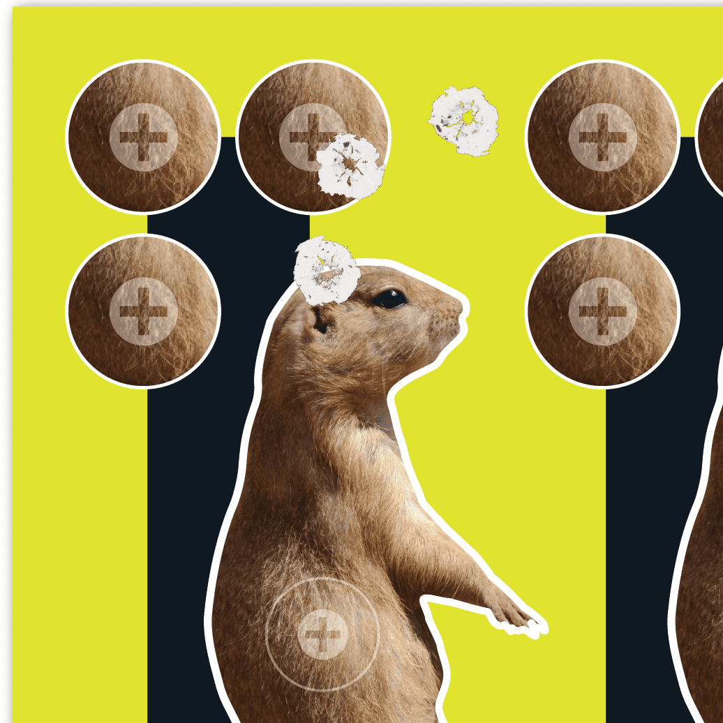 Ez Aim Splash Reactive Paper Shooting Targets, Prairie Dog Target, 8" x 8", 6-Pack, 2 Pack