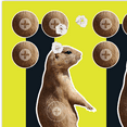 thumbnail image 4 of Ez Aim Splash Reactive Paper Shooting Targets, Prairie Dog Target, 8" x 8", 6-Pack, 15264, 4 of 5