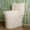 Bisque, variant on HOROW Compact One Piece Toilet with Comfort Seat ADA Height 17.3" Elongated Dual Flush 0.8/1.28 GPF