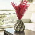 thumbnail image 4 of Tallos florales secos naturales para decoración de jarrones - Ramas artificiales de 16,9 pulgadas con hojas para centros de mesa, bodas y decoración del hogar, 4 of 7