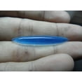 thumbnail image 2 of Bone Septum Tusk with Blue Chalcedony – Unique Body Jewelry for Bold Style and Spiritual Energy Gauge 4mm (6g), Length 35mm, 2 of 2