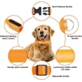 thumbnail image 4 of LINLIN LED Dog Leash and LED Dog Collar, USB Rechargeable Dog Lights Light Up Dog Collars Weatherproof Dog Leash 120cm, 4 of 7
