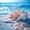 Beach 03, variant on Manfei Beach Starfish Seashell Full Size Sheets for Kids Boys and Girls, Coastal Ocean Print Bed Sheets 4-Piece, 1 Flat Sheet, 1 Fitted Sheet and 2 Pillowcases
