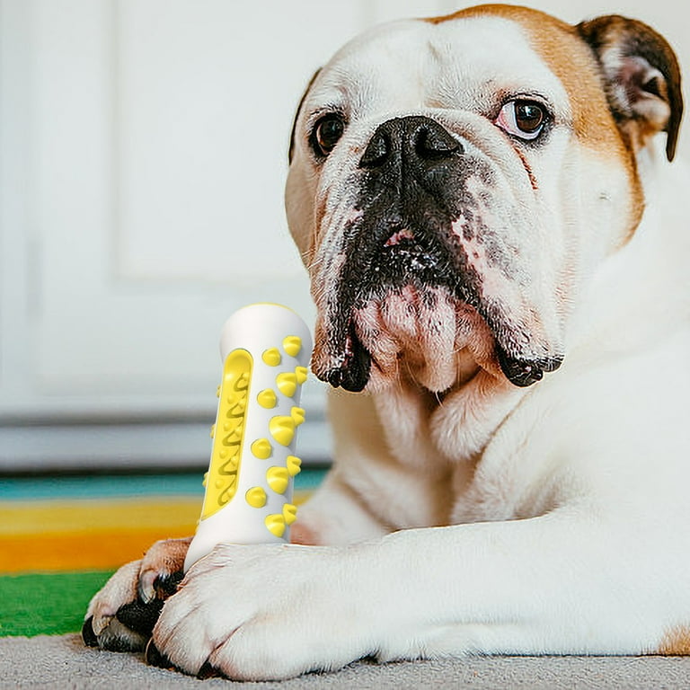 Best dog top teeth cleaning toys