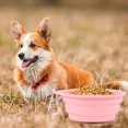 thumbnail image 6 of Reheyre Convenient Foldable Silicone Pet Bowl 600ML Capacity - Portable, Easy to Clean Cat and Dog Food Bowl - Pet Supply Essential, 6 of 6