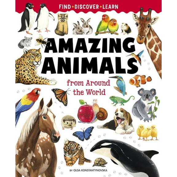 Find, Discover, Learn Big Book of Amazing Animals, (Hardcover)