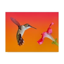 Trademark Fine Art 'The Flower Dance I' Canvas Art by Leda Robertson