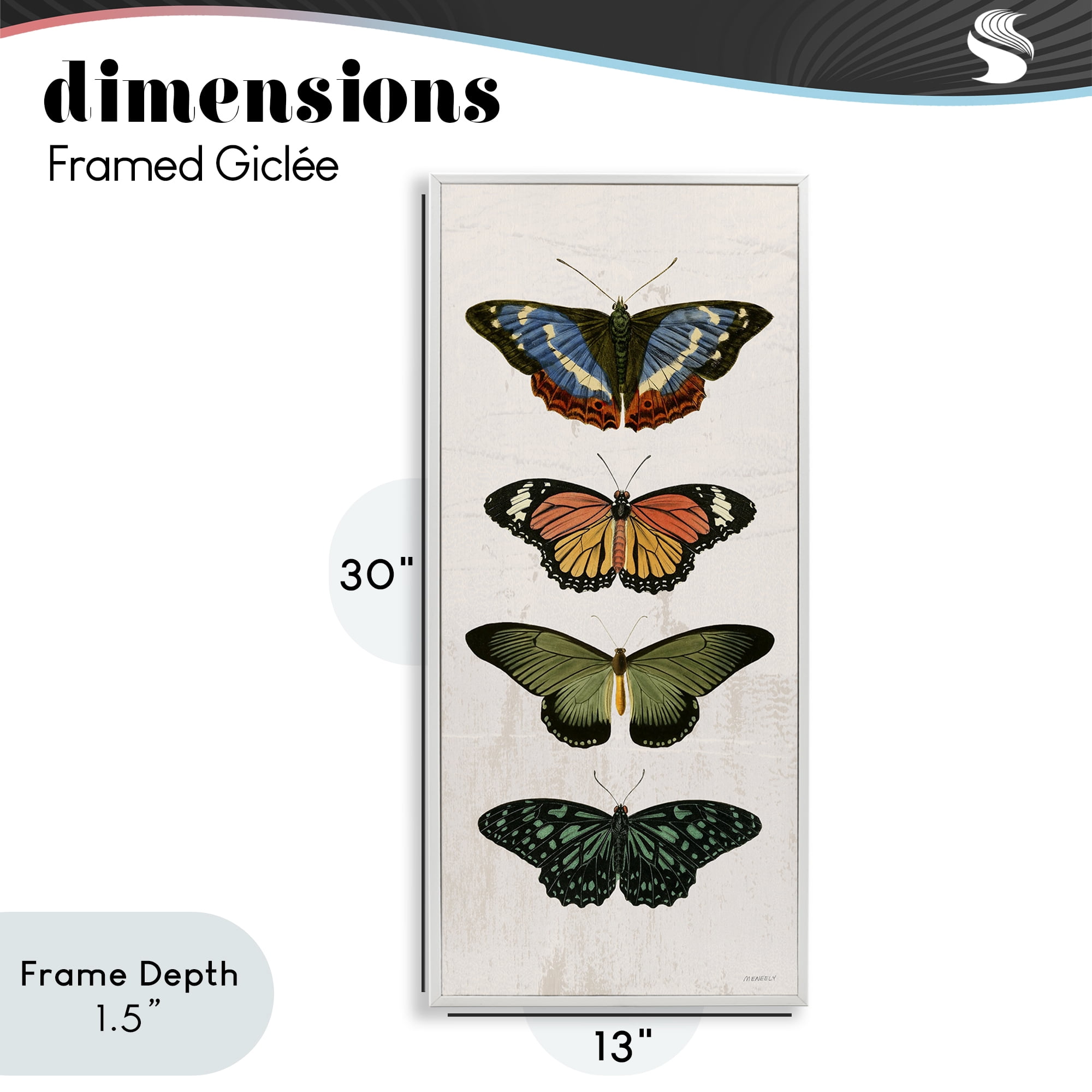 Stupell Industries Butterfly Lineup Vintage White Framed Giclee Art, design by Dan Meneely