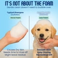 thumbnail image 3 of Champú para perros Scrubby Tails, harina de avena orgánica para cachorros, 480 ml, sin perfume, 3 of 9
