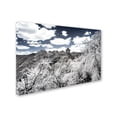 thumbnail image 2 of Trademark Fine Art "White Wall VI" Canvas Art by Philippe Hugonnard, 2 of 3