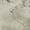 Ivory, variant on Addison Rugs Mayfield Premium Machine Washable Transitional Abstract Lime Rectangle Rug, 10' x 14'