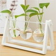 thumbnail image 2 of Plant Terrarium Retro Small: Clear Air Planter Bulb Glass Vase with Wooden Stand, 2 of 10