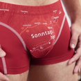thumbnail image 5 of EIN SCHÖNER FLECK ERDE Calzoncillos para hombre - Estampado, Algodón orgánico Sonntagshorn (Chimenea roja) S (Small), 5 of 5