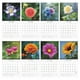 thumbnail image 5 of Calendario 2026-2027 de 18 meses, de enero de 2026 a junio de 2027, grande, con tareas y notas, planificador mensual, diseño floral., 5 of 8