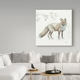thumbnail image 3 of Trademark Fine Art 'Woodland Walk XI Fox' Canvas Art by Lisa Audit, 3 of 3