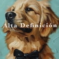 thumbnail image 2 of Cuadro Decorativo Labrador Retriever, 2 of 4