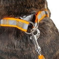 thumbnail image 4 of Pet Life ® 'Easy Tension' Reflective Stitched Adjustable 2-in-1 Pet Dog Leash and Harness, 4 of 7