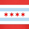 thumbnail image 3 of CafePress - Chicago Flag T Shirt - Dark T-Shirt Kids XS-XL, 3 of 4