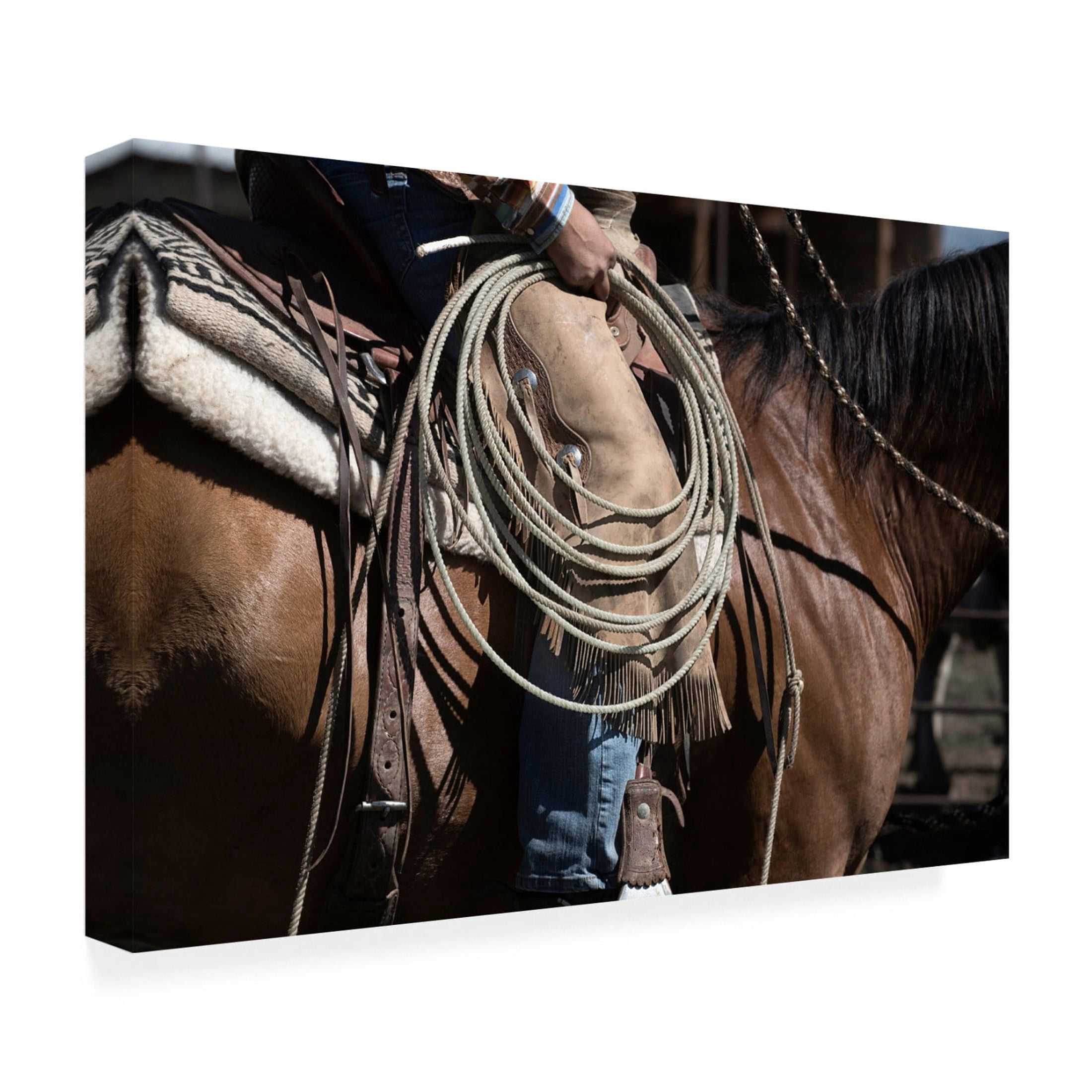 Canvas Wall Art - Lisa Dearing 'Sierra Style' Wall Art for Living Room, Bedroom, or Office Décor by Trademark Fine Art - 47 x 30 Inches
