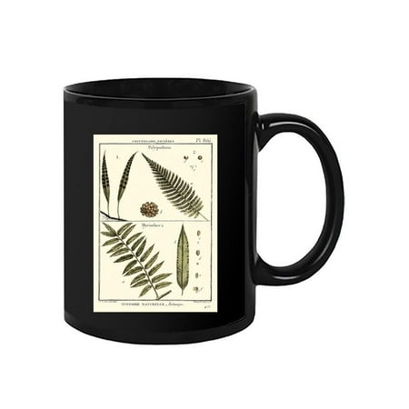 

Fern Classification I Mug - Denis Diderot Designs