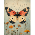 thumbnail image 1 of Qisvanset Framed Canvas Wall Art, 12x16 Inch Vintage Moth Cottage Core Apartment Wall Decor, 1 of 5