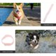 thumbnail image 3 of unbranded 10Ud Protectoras Impermeables Para Patas De Mascotas Con Ajustable Anticaída, 3 of 6